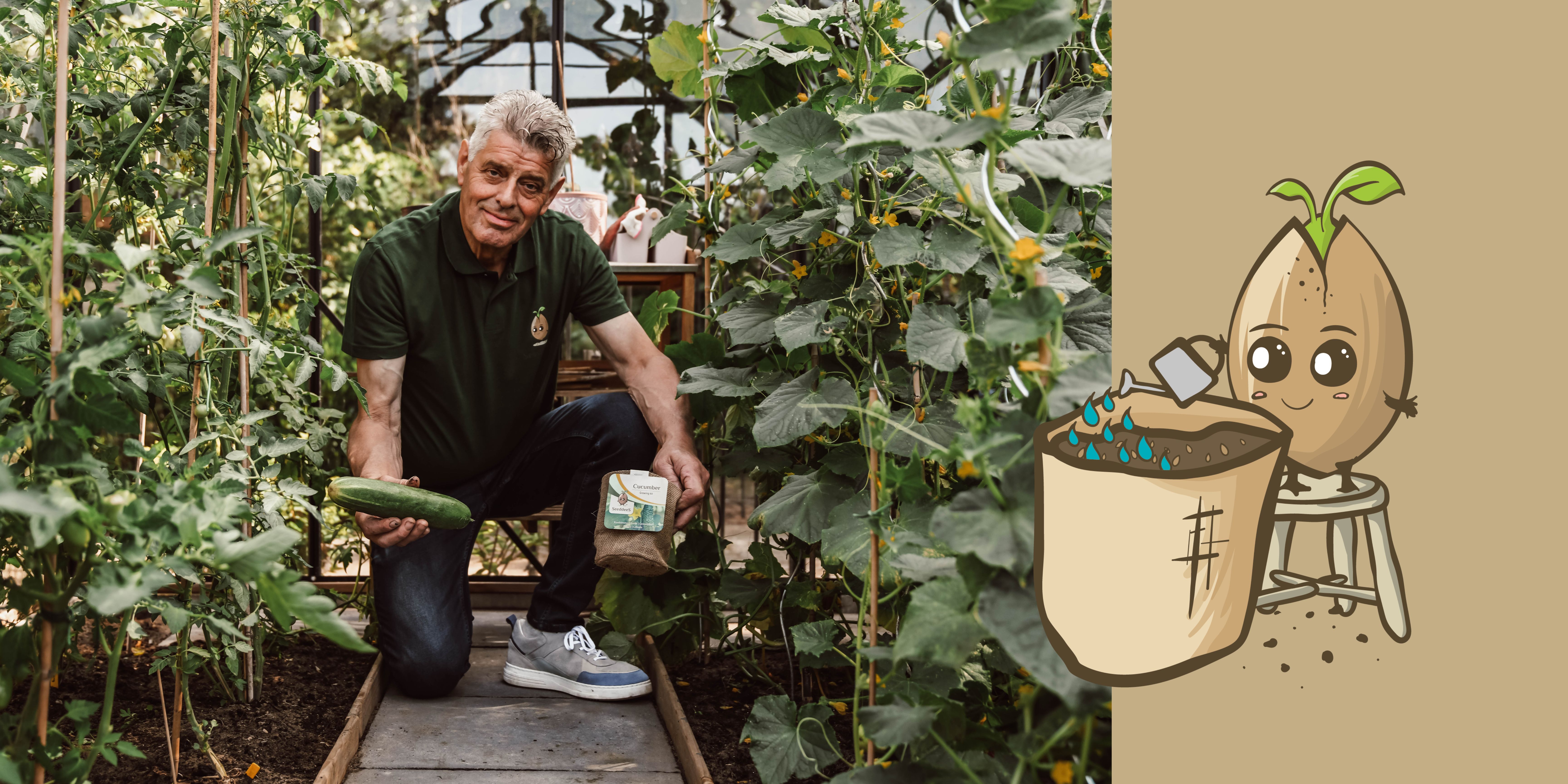 Komkommer, wanneer en hoe verbouwen?